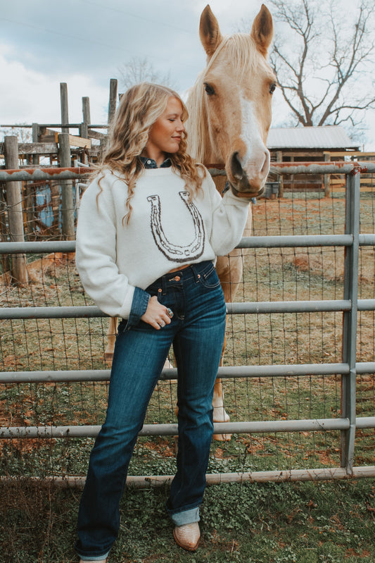 Lucky Charm Horseshoe Sweater